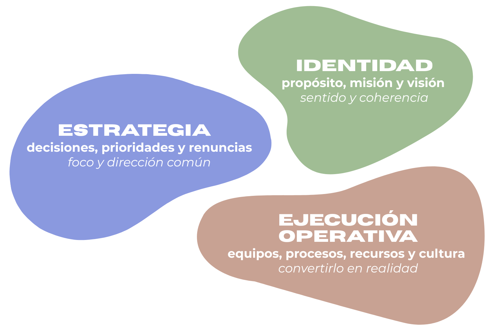 bocetos 1.png